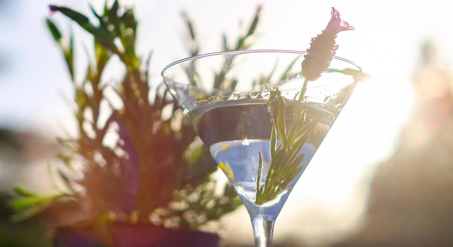 Come organizzare un cocktail party in giardino