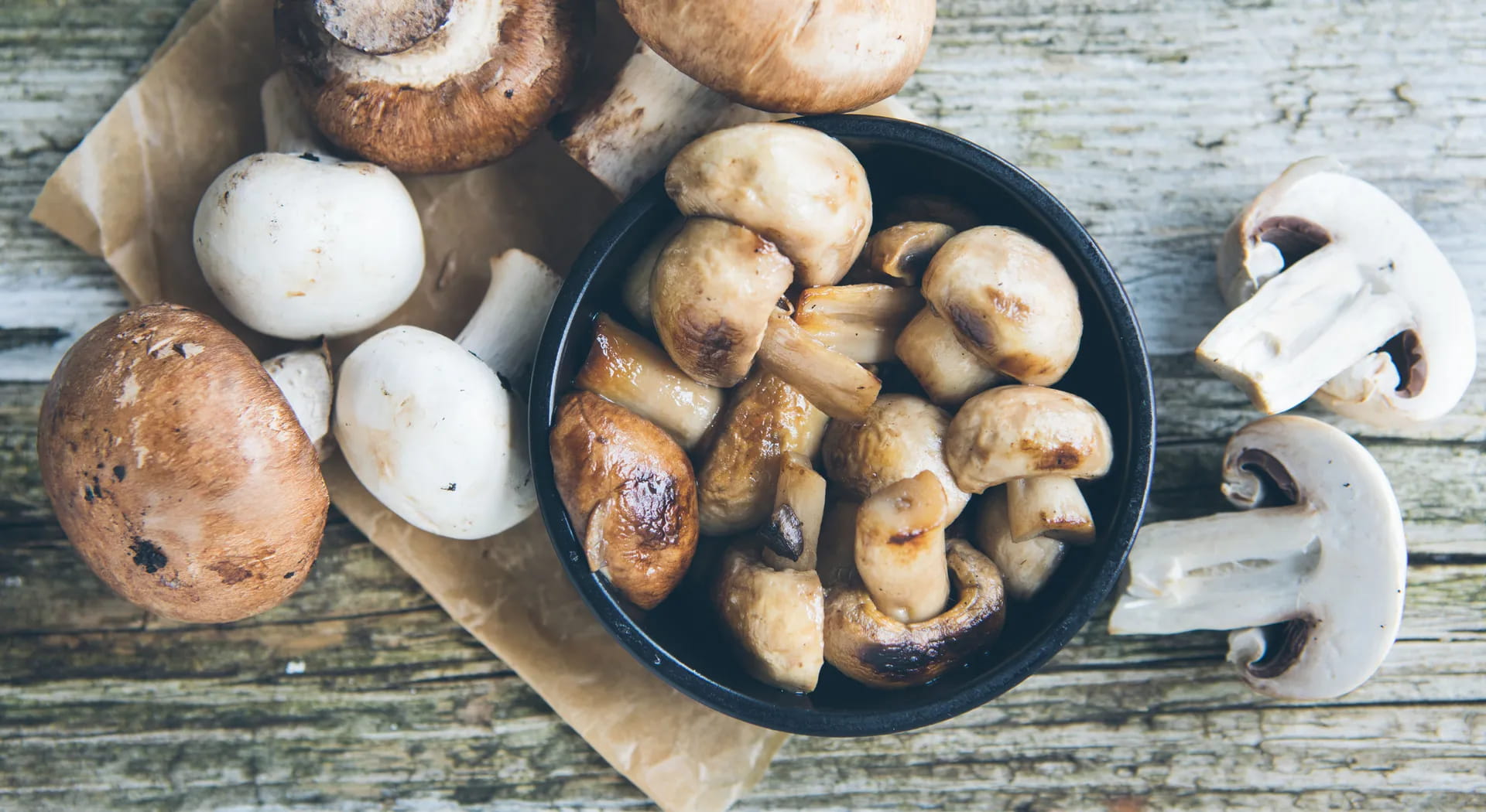 Funghi: tutte le varietà e come riconoscerle