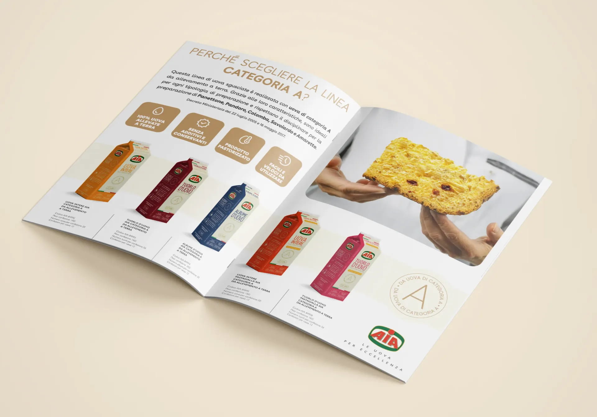 brochure