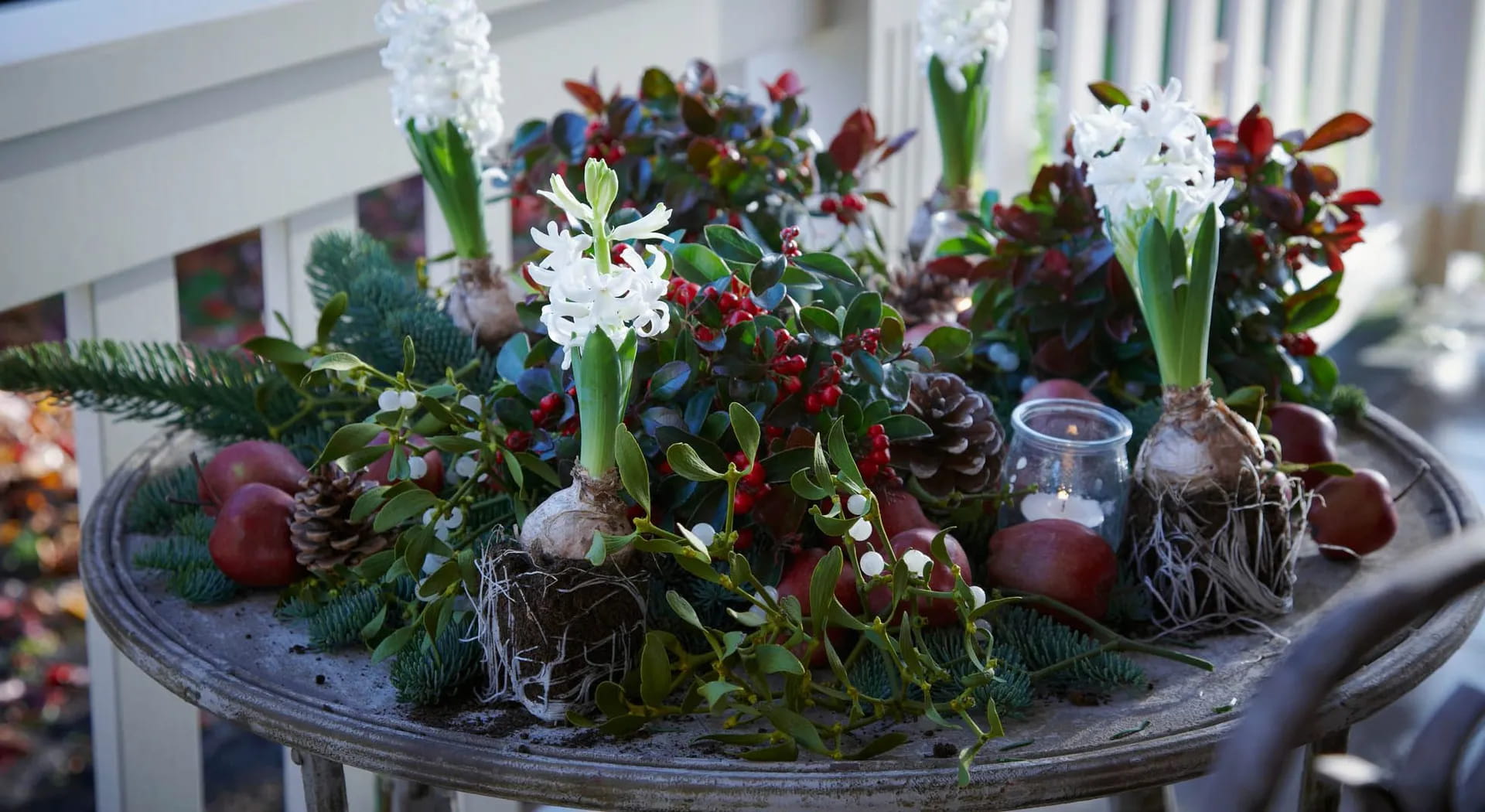 How to decorate the house with mistletoe