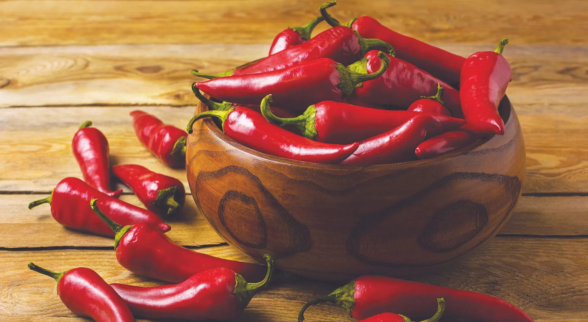 Chili pepper, all the uses and varieties