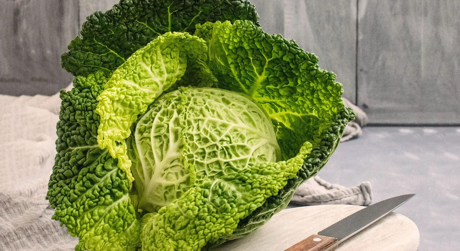 Alle Unterschiede zwischen Kohl und Grünkohl