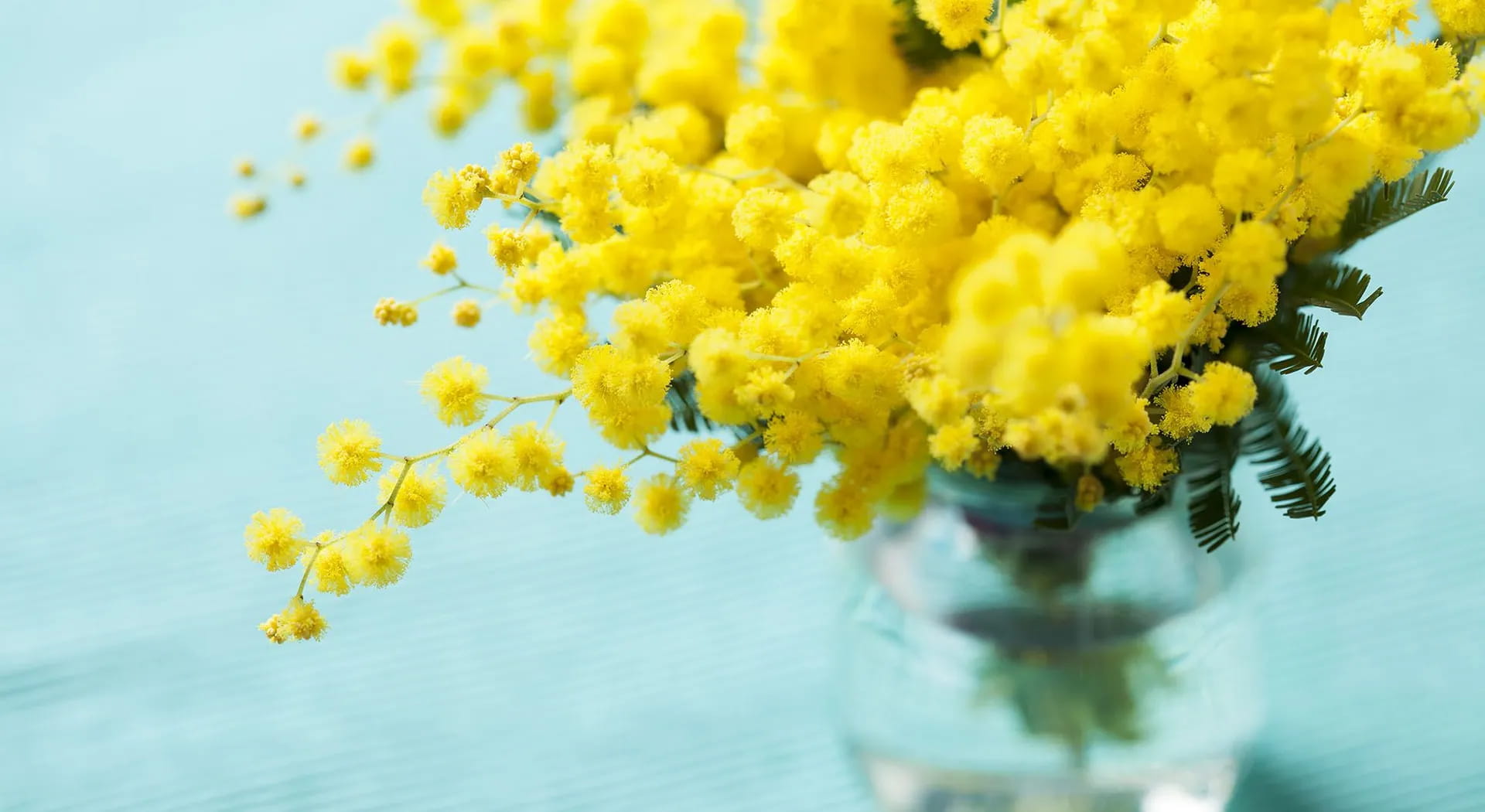 Women's Day: DIY decorations and suggestions for the table