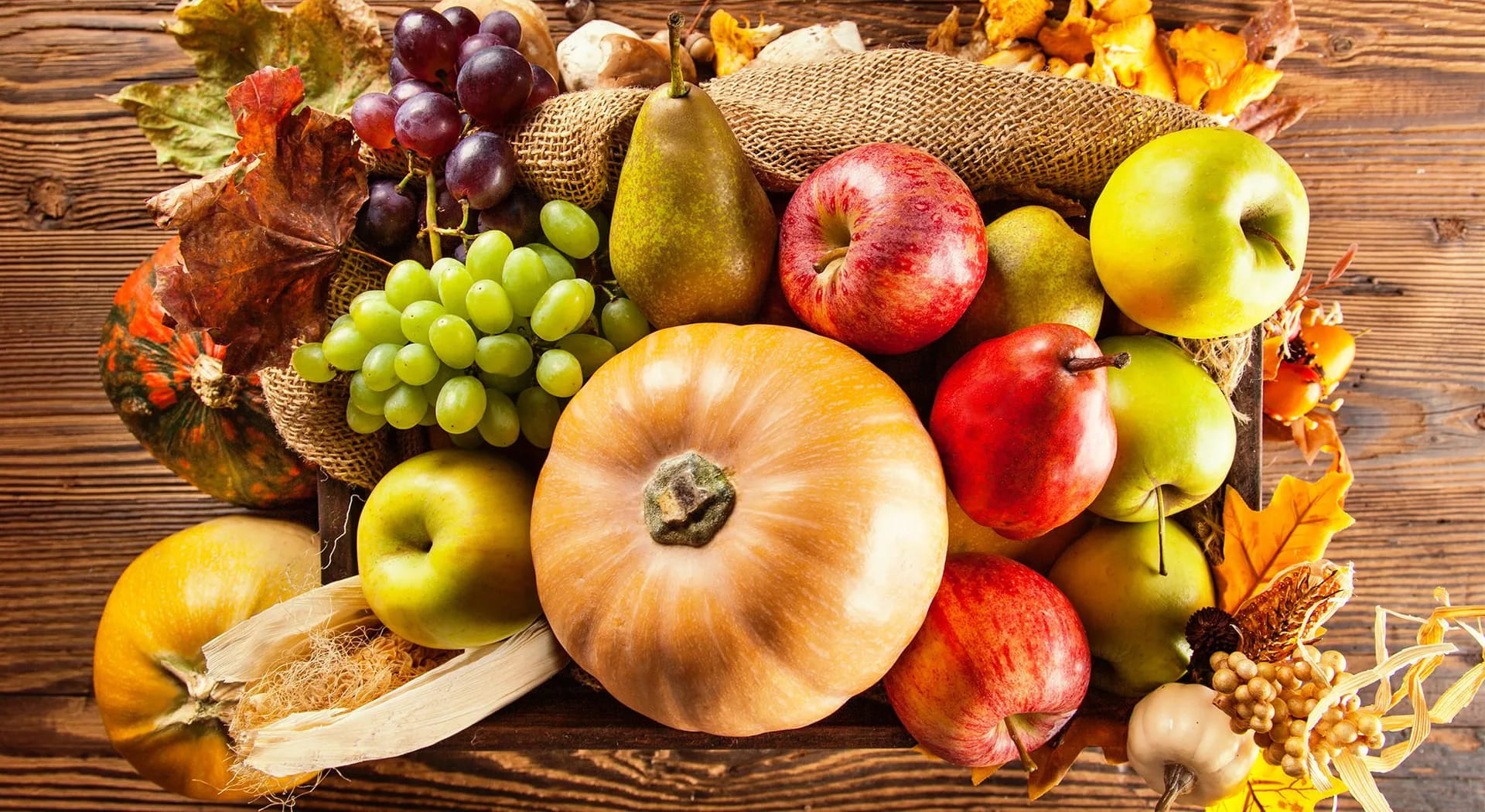 Herbst-Einkauf: Die echten Produkte, die in den Warenkorb gelegt werden sollen