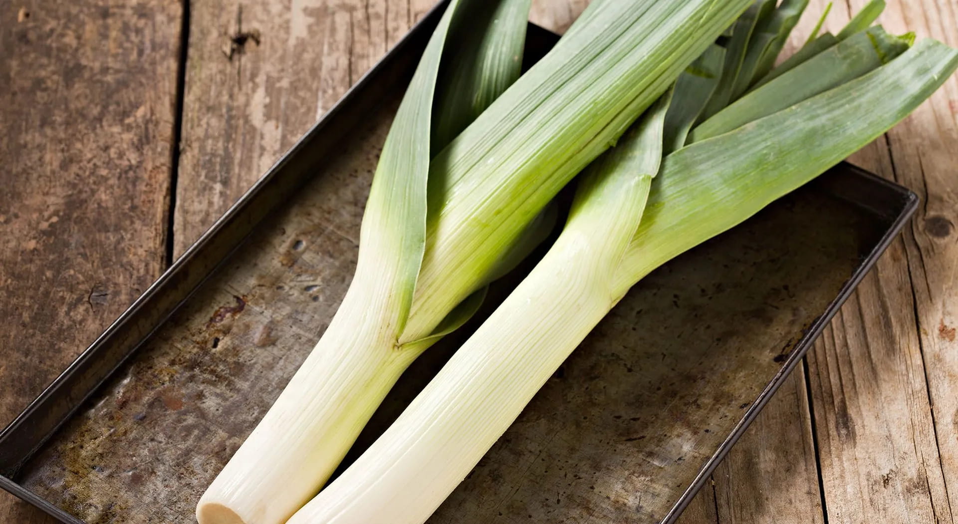 Alle Kuriositäten über den Lauch, vom Boden bis zum Tisch!