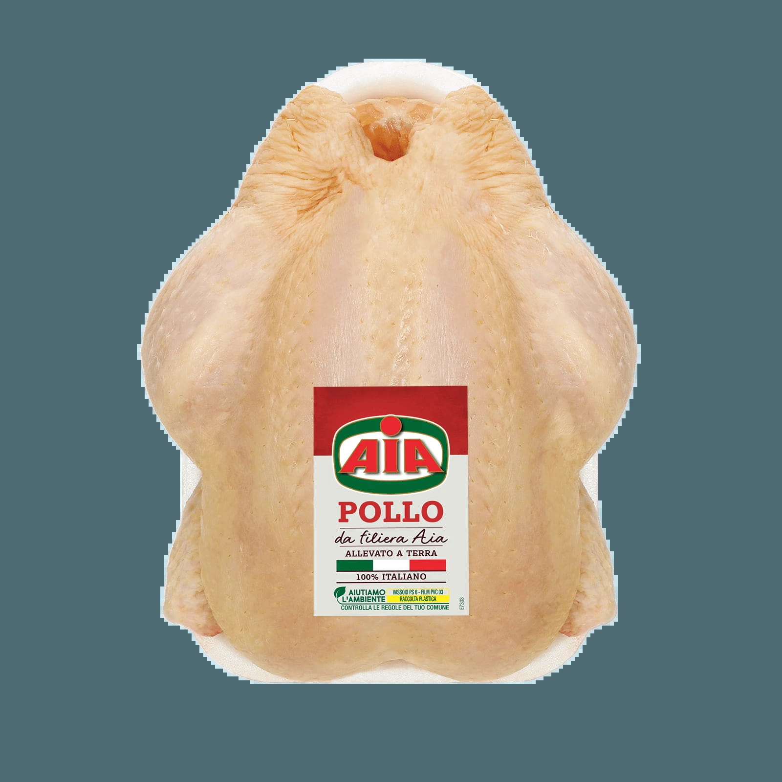 the-chicken-aia