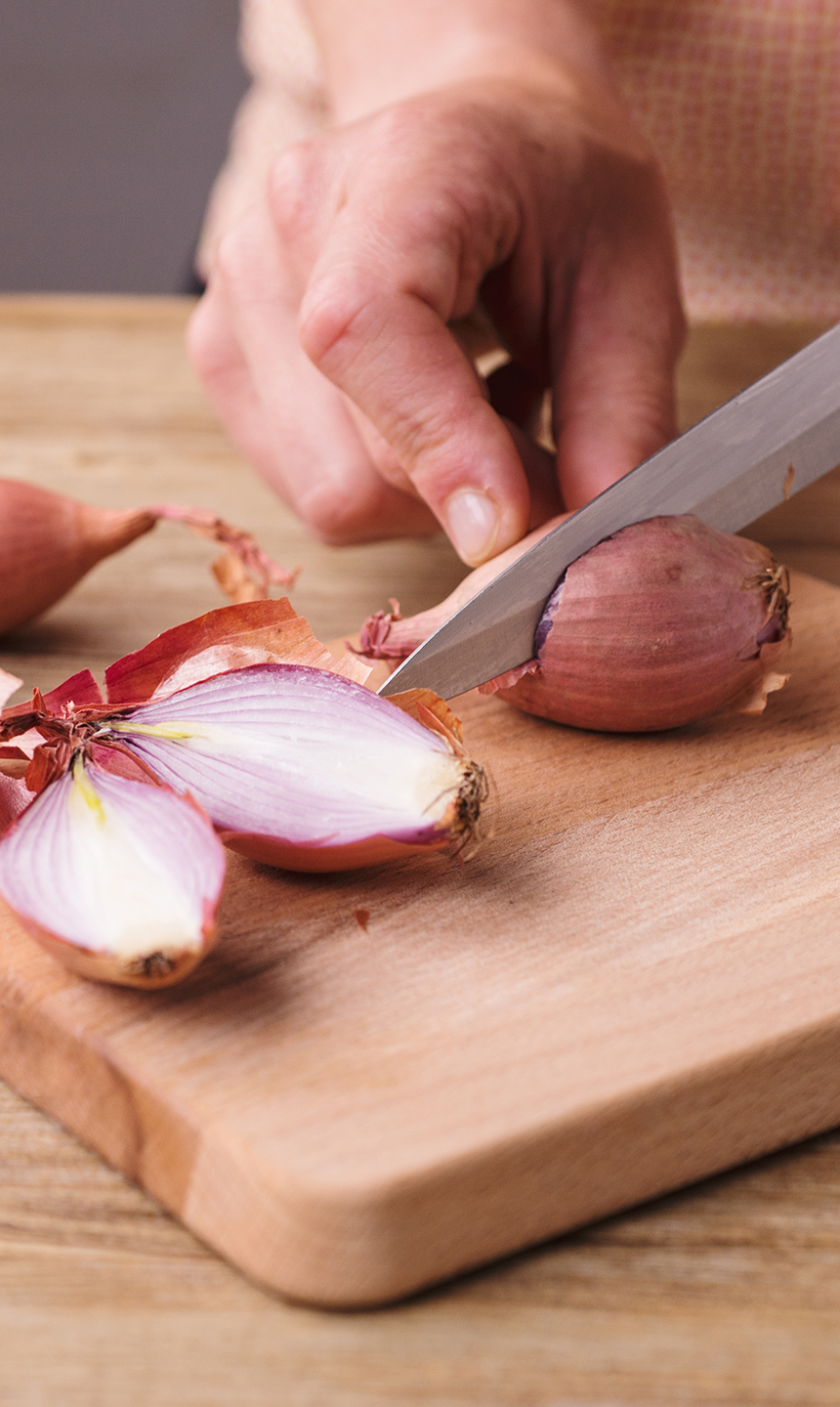 shallot