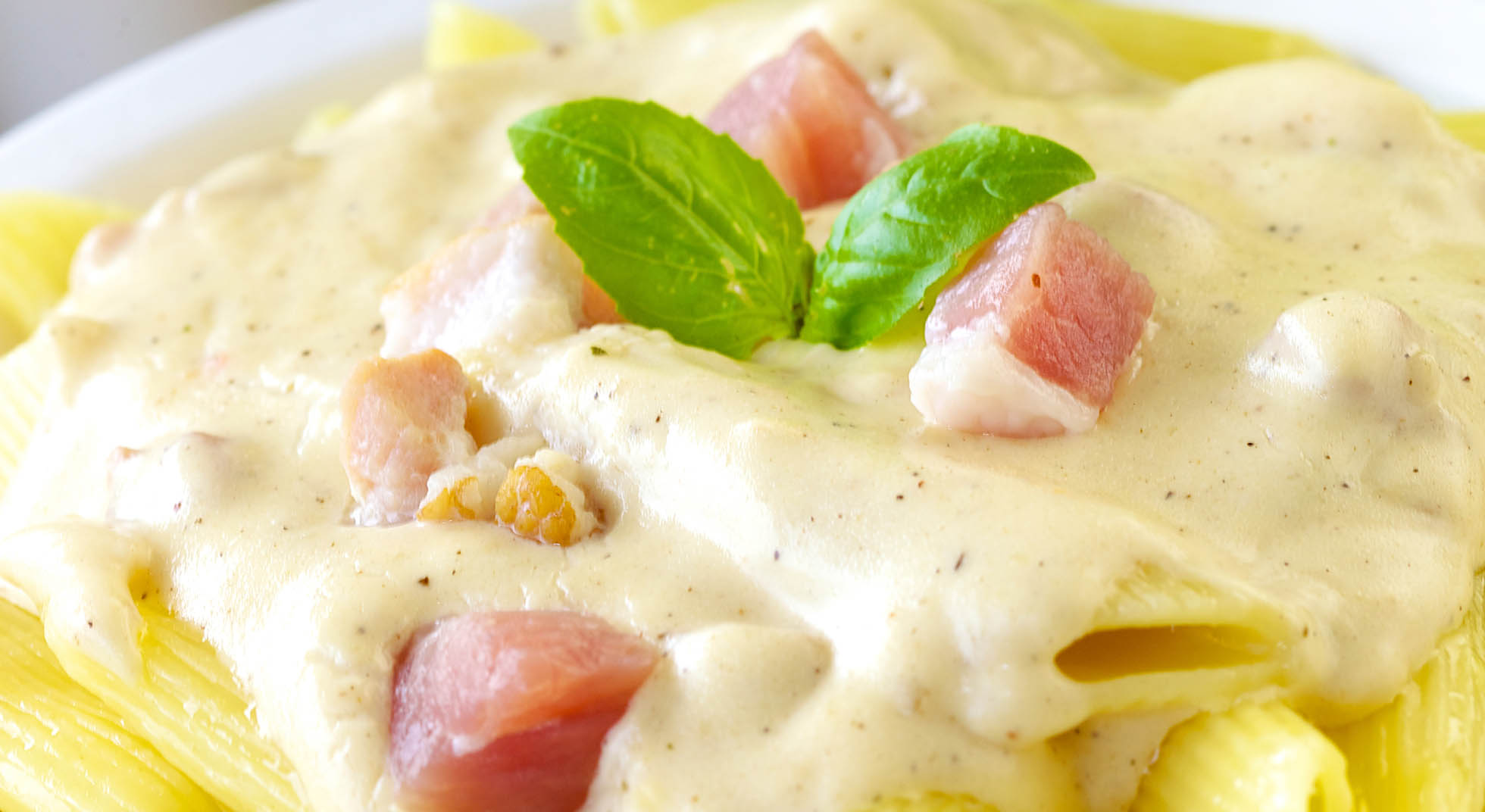 Pasta a pranzo, 5 ricette facili e leggere AIA Food