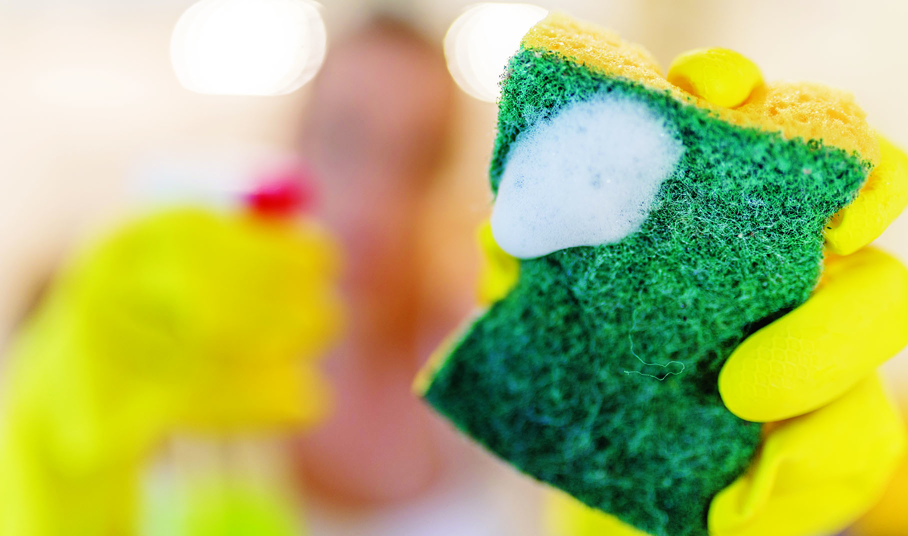 How to clean sponges with the microwave The AIA Guides
