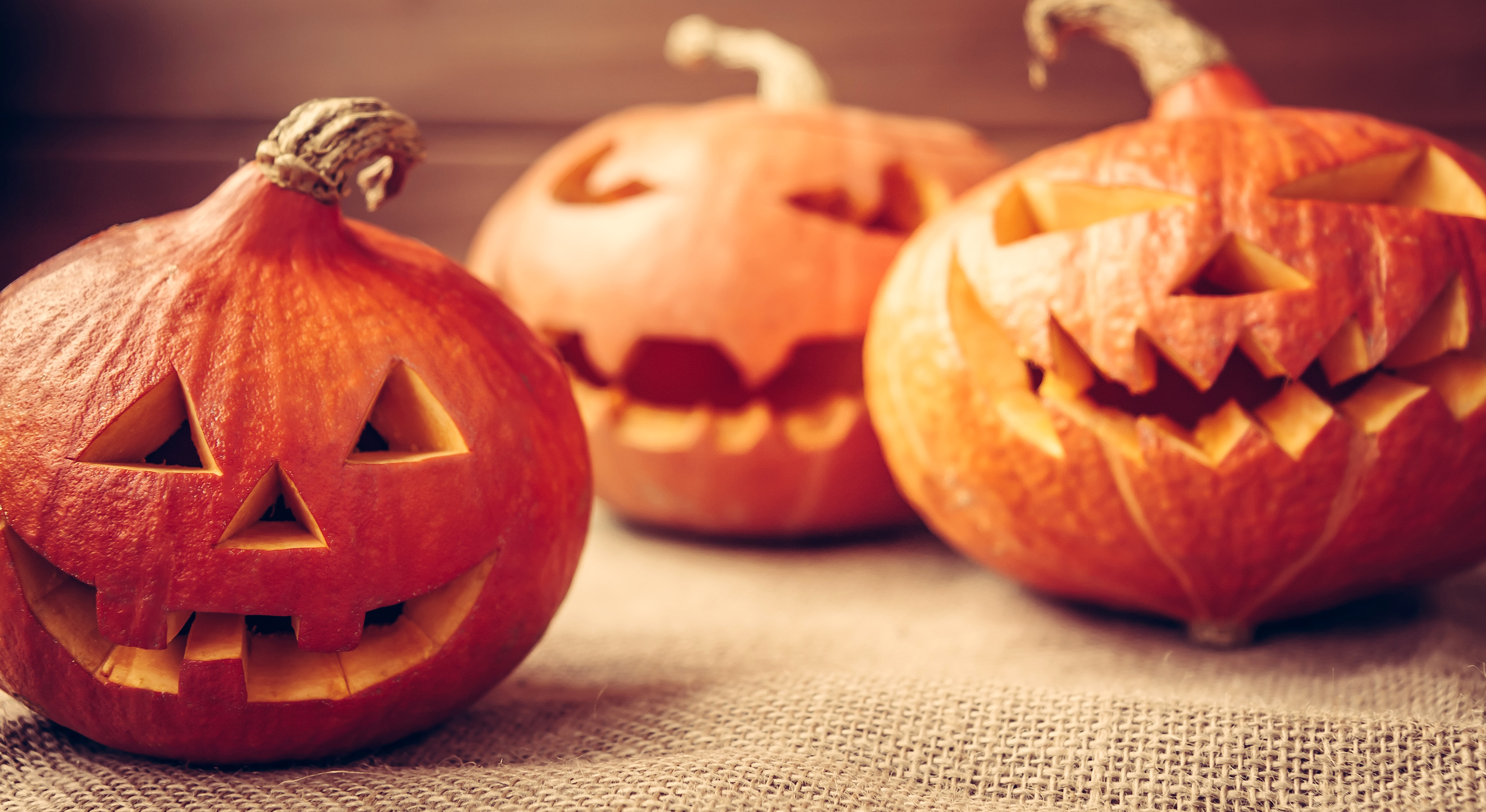 Decorazioni di Halloween : 6 idee originali per decorare la casa ad  Halloween!