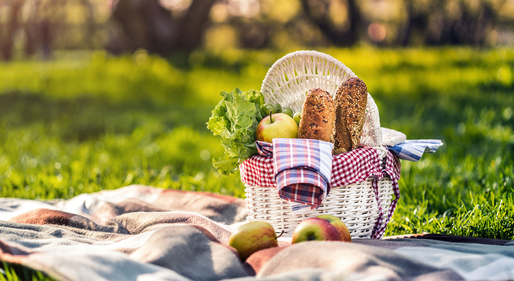 PIC NIC