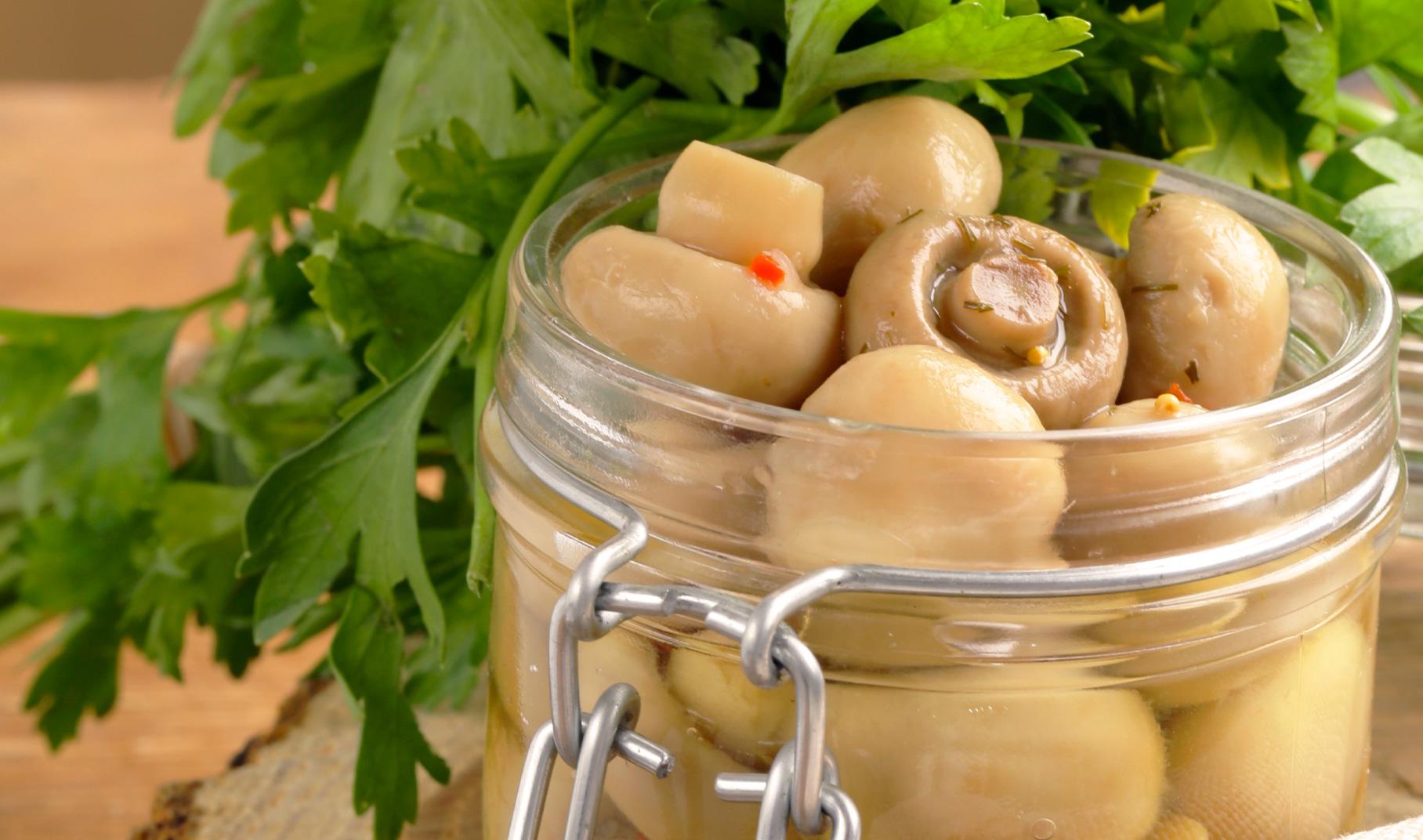 Come Conservare I Funghi Freschi Aia Food