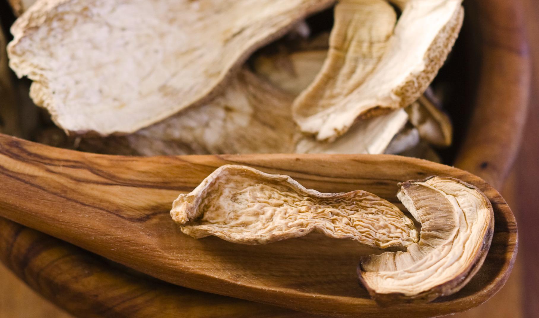 Come Conservare I Funghi Freschi Aia Food