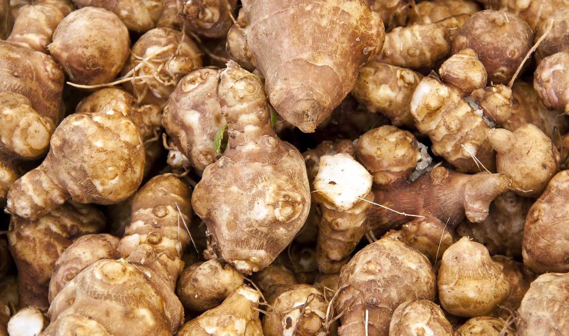 Radici Commestibili Quali Sono E Come Portarle In Tavola Aia Food