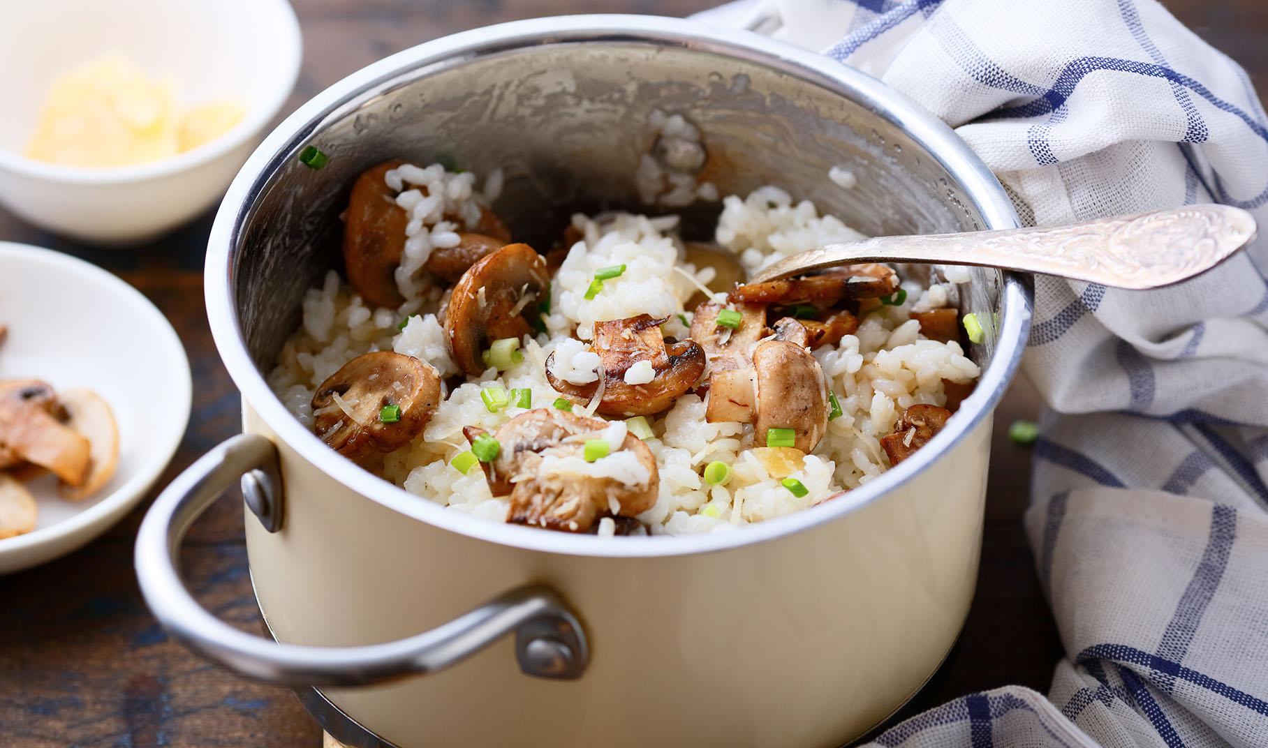 Molti psicologia scusa riscaldare la pasta del giorno prima cigno