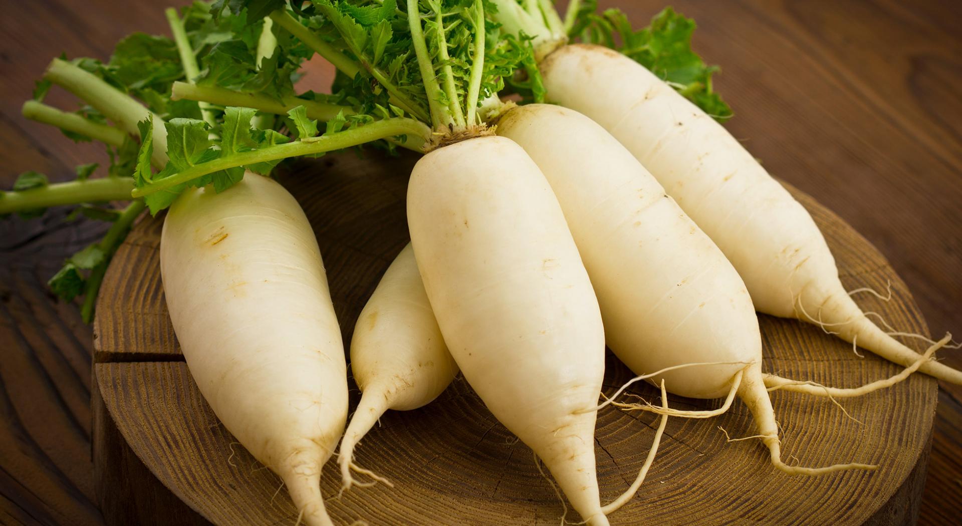 Usi E Curiosita Della Radice Di Rafano Aia Food